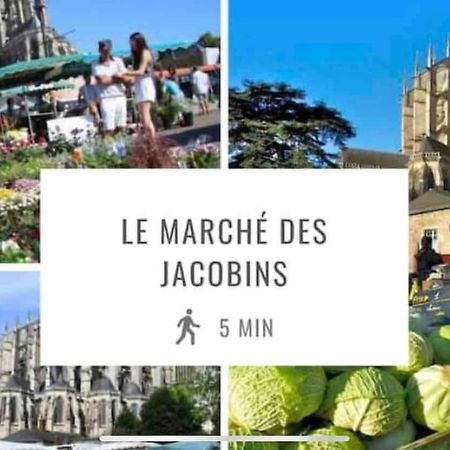 Appartements De Standing Centre Ville, Gare, Jardin,Terrasse 勒芒 外观 照片