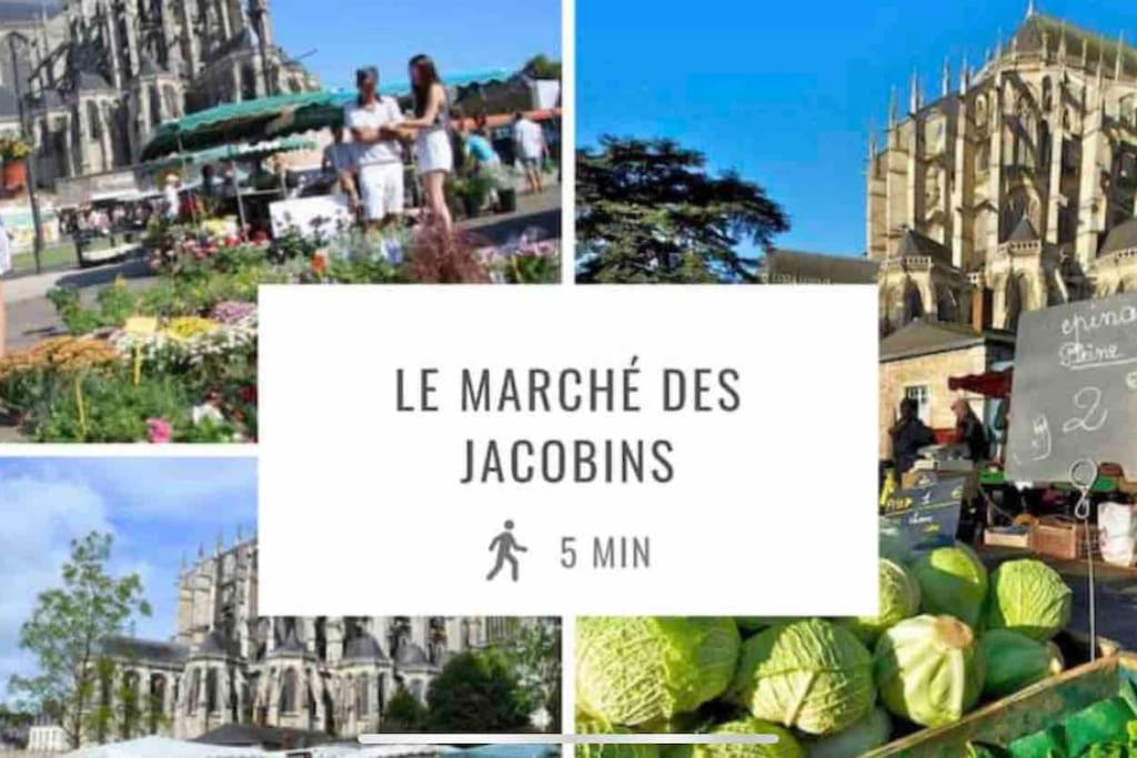 Appartements De Standing Centre Ville, Gare, Jardin,Terrasse 勒芒 外观 照片