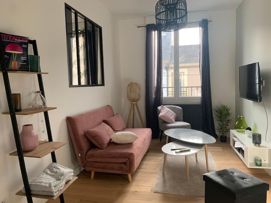 Appartements De Standing Centre Ville, Gare, Jardin,Terrasse 勒芒 外观 照片